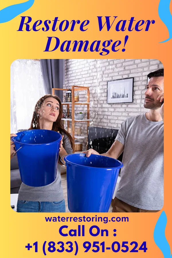 water restoration Pro Storm Recovery Co Roselle