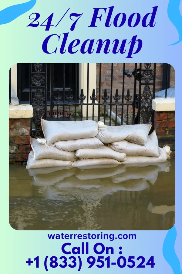 24/7 Flood Cleanup in Roselle, NJ