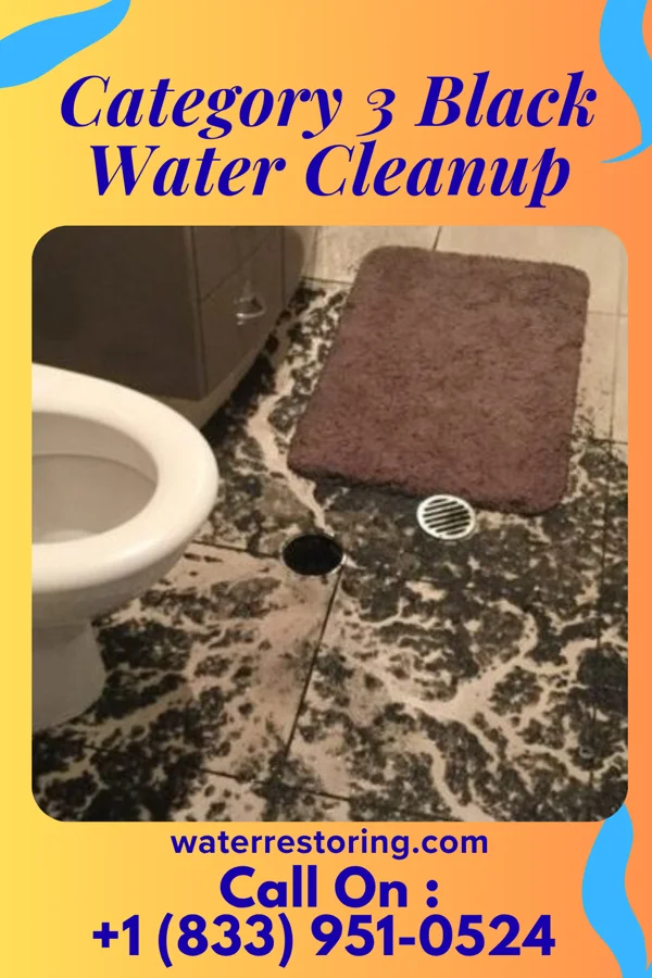 Category 3 Black Water Cleanup in Roselle, NJ