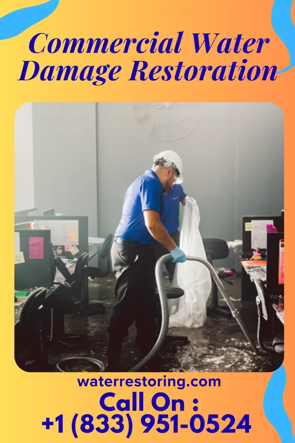 Commercial Water Damage Restoration in Roselle, NJ