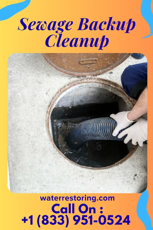 Sewage Backup Cleanup in Roselle, NJ