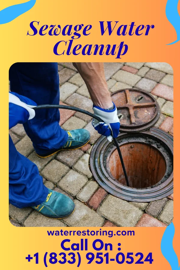 Sewage Water Cleanup in Roselle, NJ